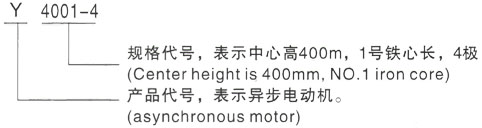 西安泰富西玛Y系列(H355-1000)高压YRKK400-6三相异步电机型号说明